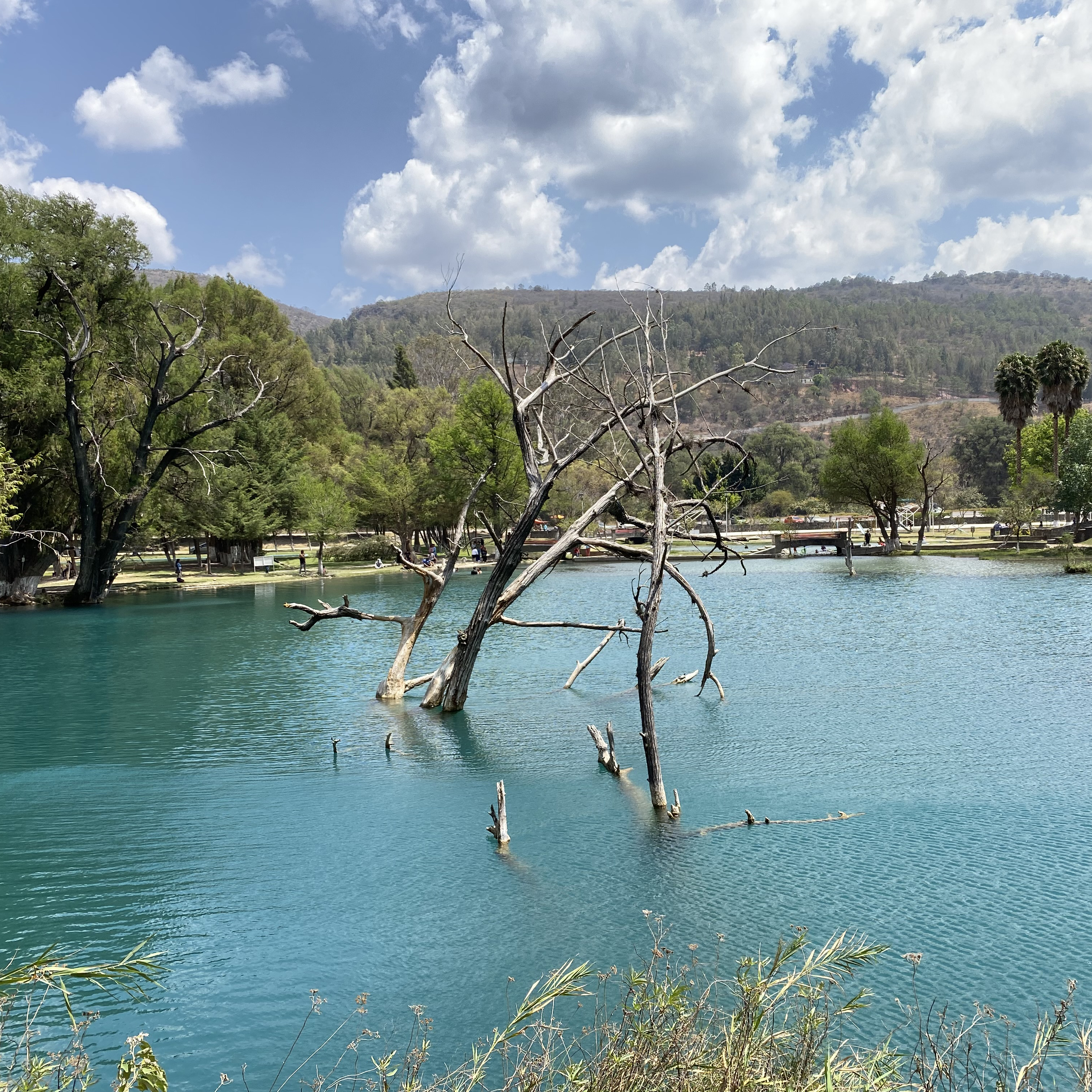 Laguna Encantada