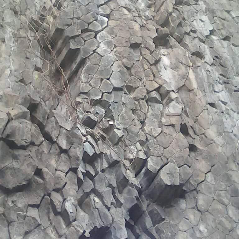 El Mogote